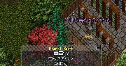 Gnarled Staff.JPG