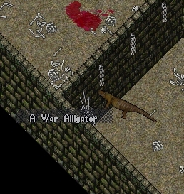 War Alligator.jpg